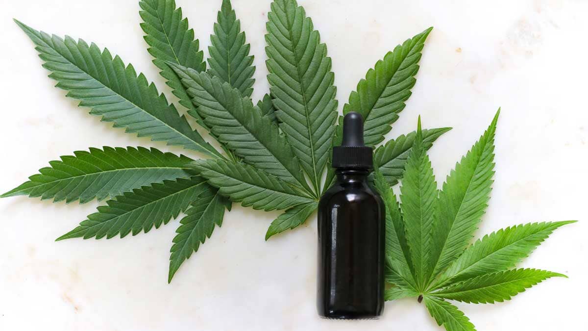 An Ointment With The Marijuana Components CBD And CBG Can Effectively Treat Symptoms Of Eczema, Study Shows