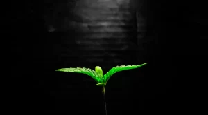 hero background image