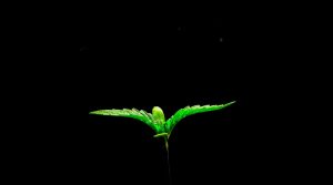 hero background image