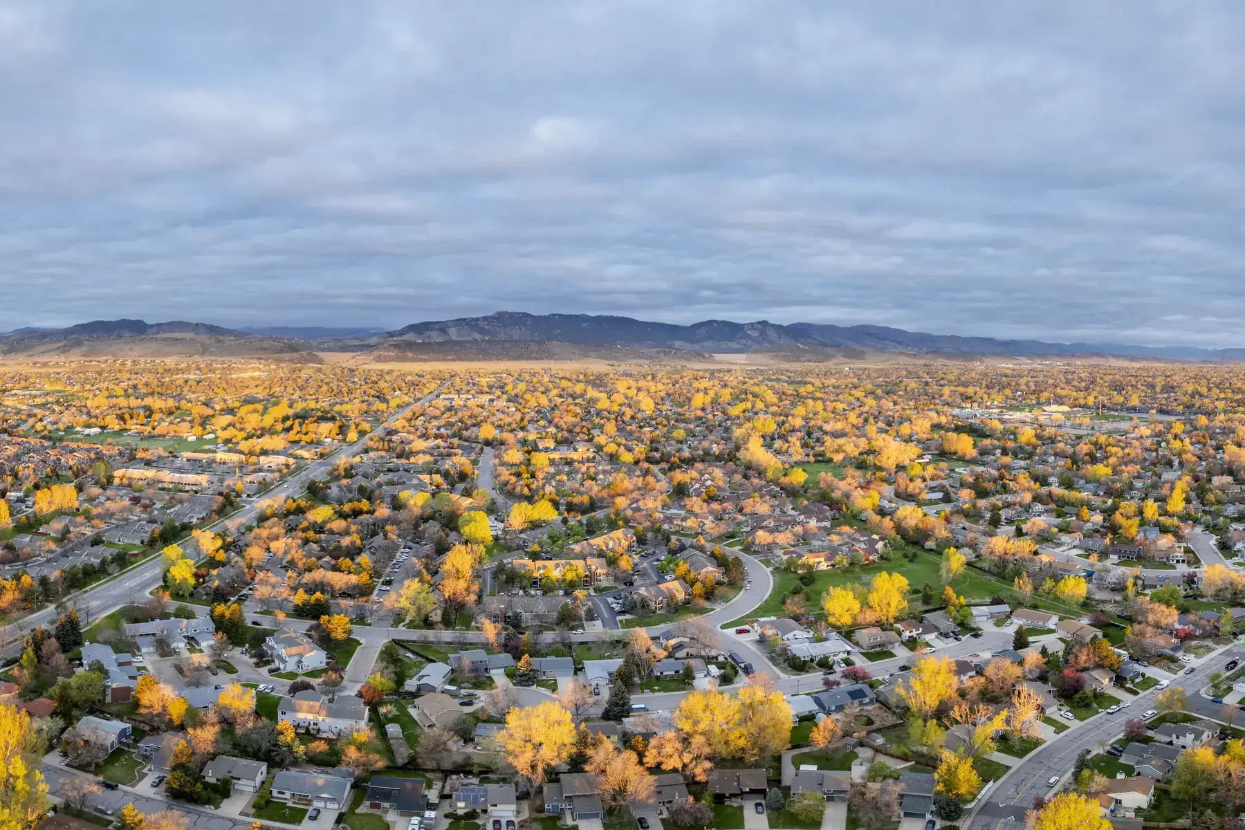 Fort Collins (8) Bethany Geisert