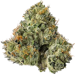 Flower 68f11fc6cbc88