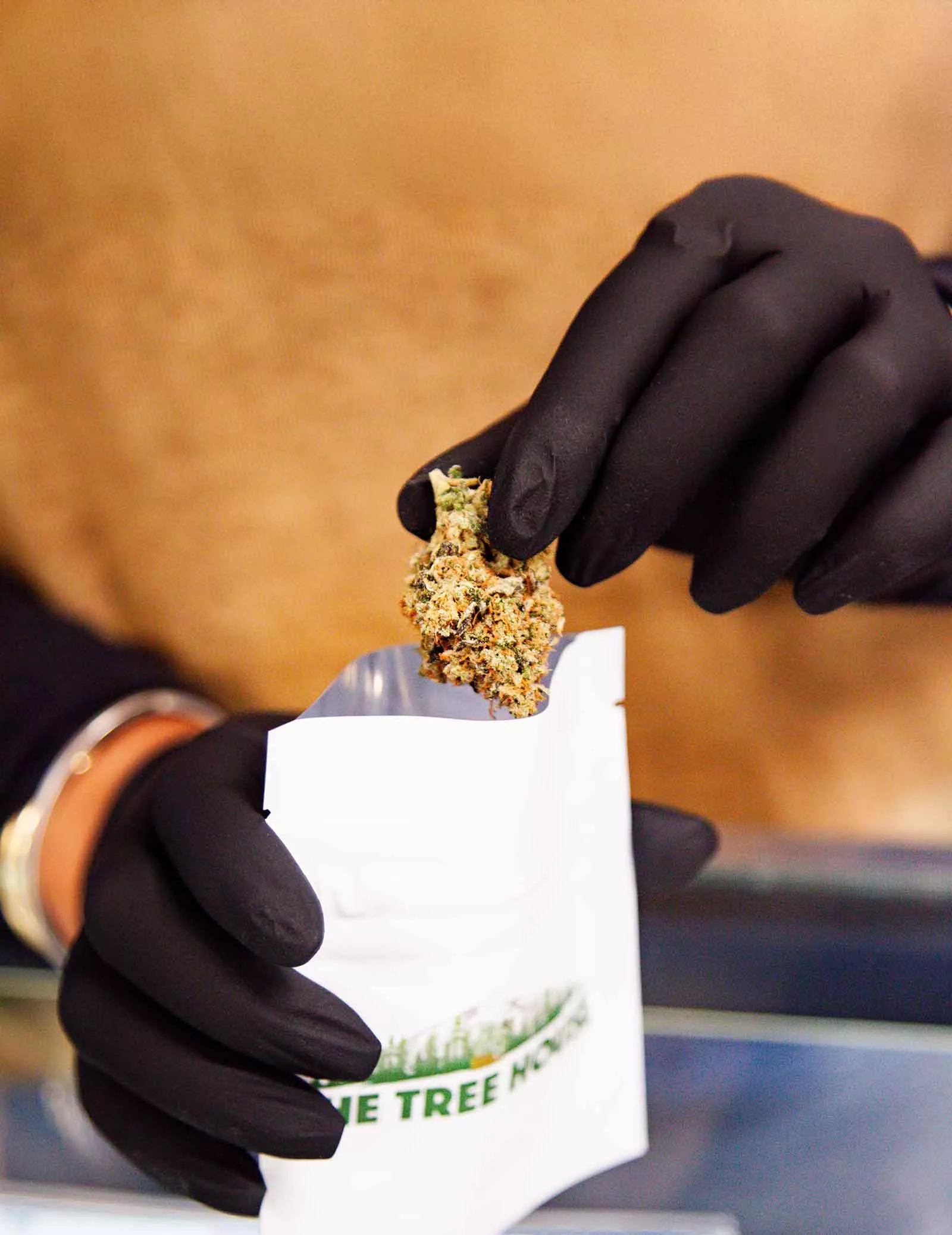 Budtender deals 69407d550eabf