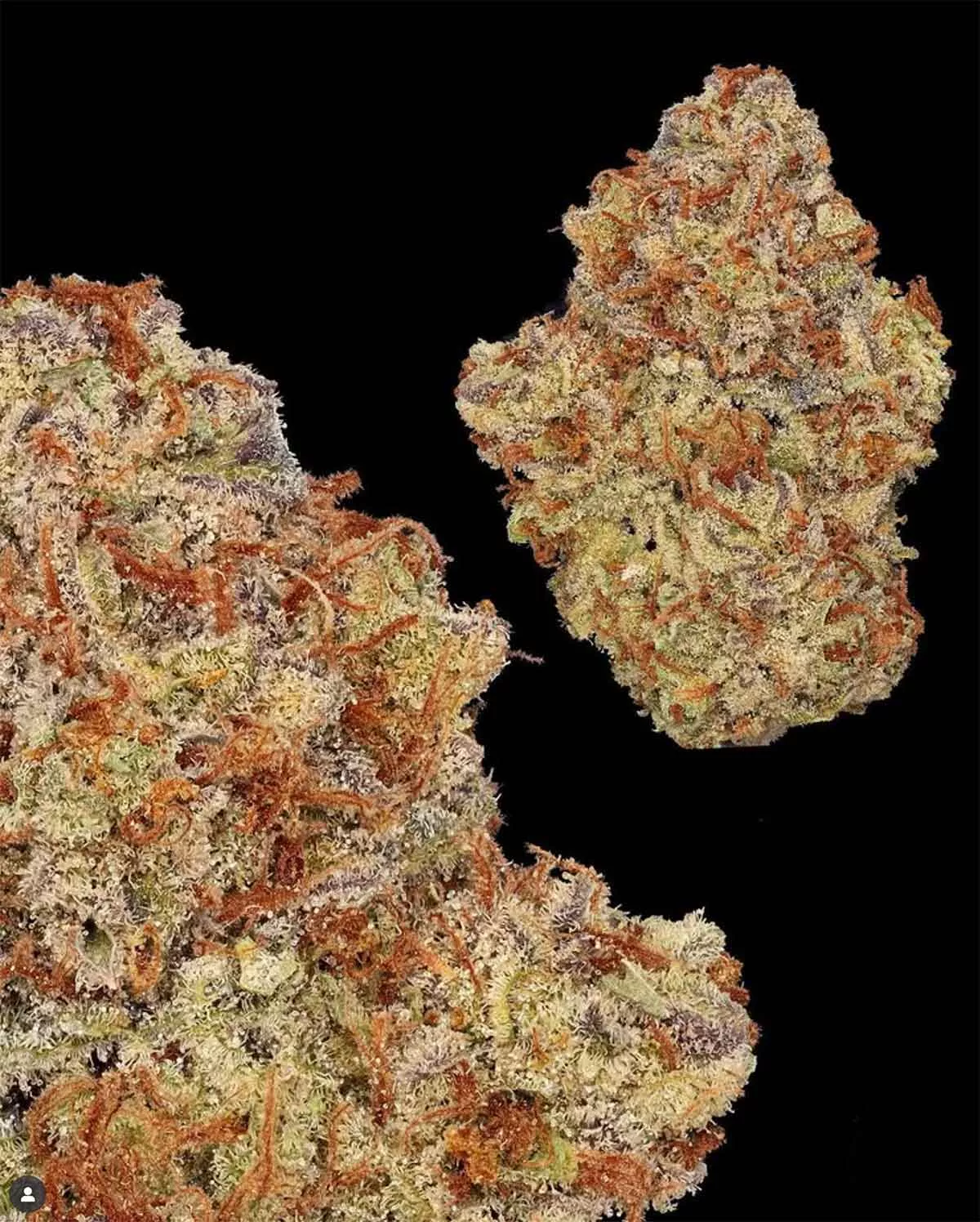 Flower 6914dd4c1b9b1