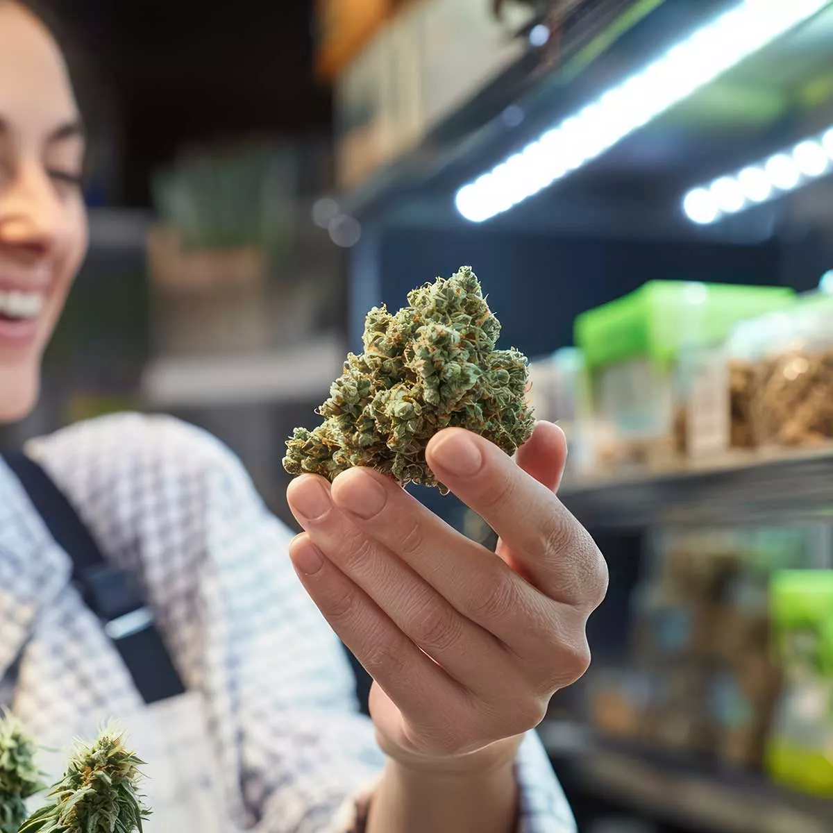 Hand holding bud 6914f18236e37